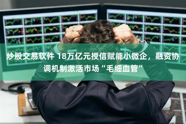 炒股交易软件 18万亿元授信赋能小微企，融资协调机制激活市场“毛细血管”