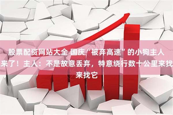 股票配资网站大全 国庆“被弃高速”的小狗主人找来了！主人：不是故意丢弃，特意绕行数十公里来找它