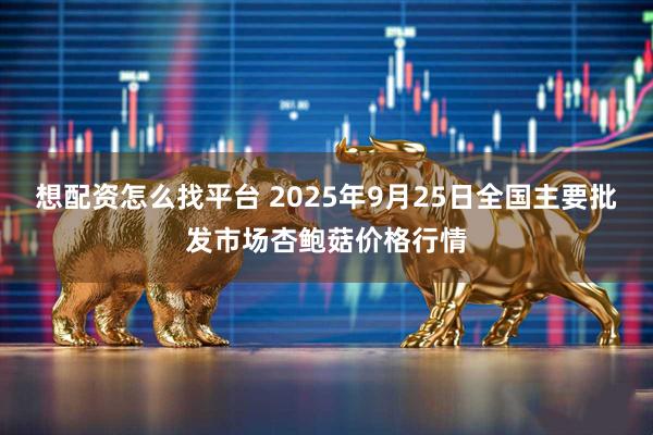 想配资怎么找平台 2025年9月25日全国主要批发市场杏鲍菇价格行情