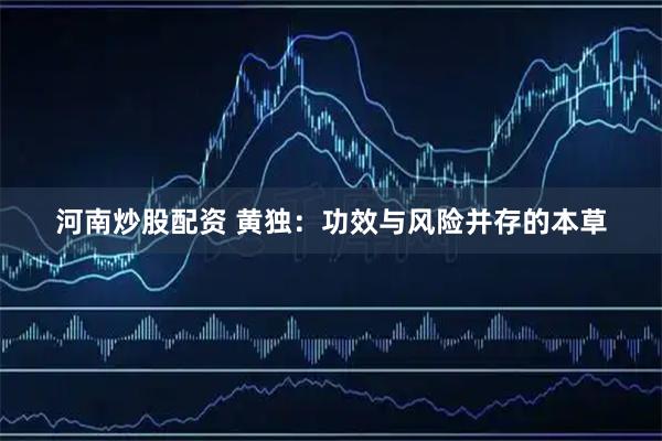 河南炒股配资 黄独：功效与风险并存的本草
