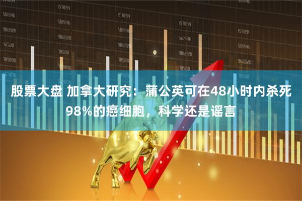 股票大盘 加拿大研究：蒲公英可在48小时内杀死98%的癌细胞，科学还是谣言